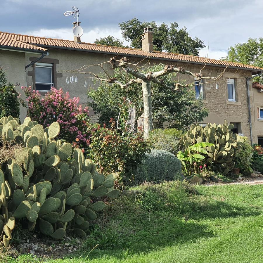 Les Figuets Villa Chateauneuf-de-Galaure Exteriör bild