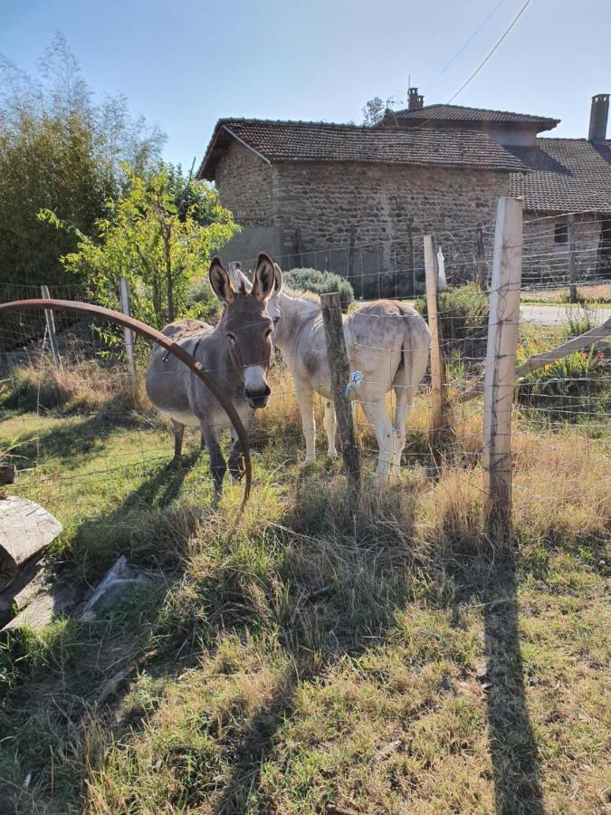 Les Figuets Villa Chateauneuf-de-Galaure Exteriör bild